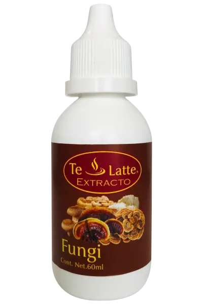 imagen Elixi de FUNGI